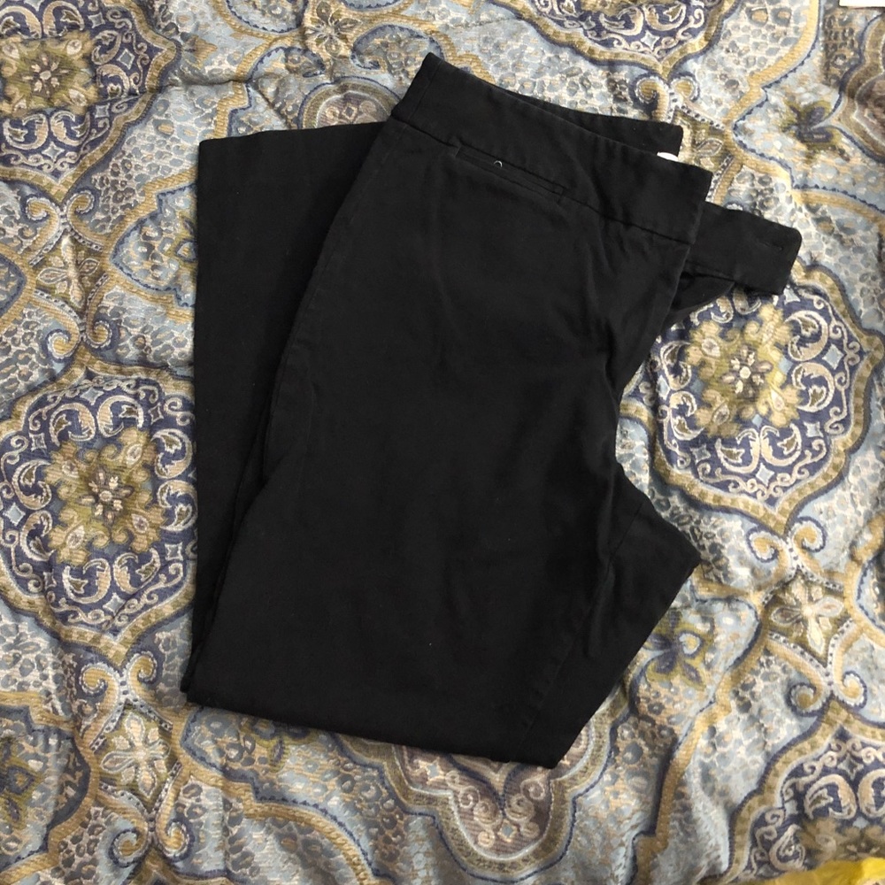 The Limited pants